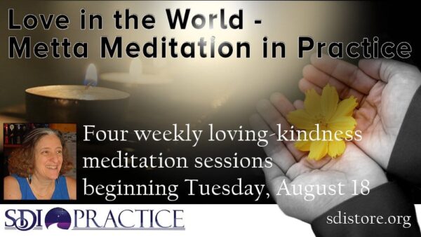 The Call of Our Times - Metta Loving-Kindness Meditation - Love in the World